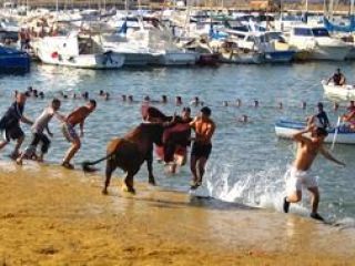 Bull pushing people into the water at the Bous a la mar party in Denia
