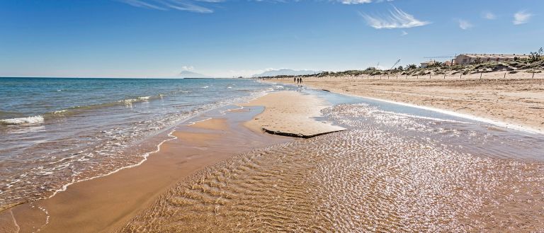 Orilla de la playa de Oliva